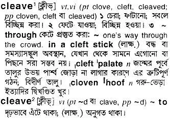 bd word