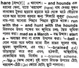 Bangla Meaning of Clip