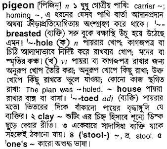 bd word