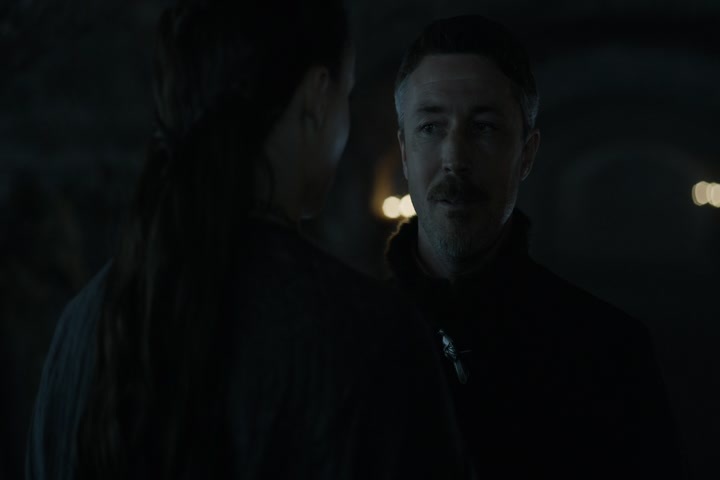 You are the last surviving Stark.
