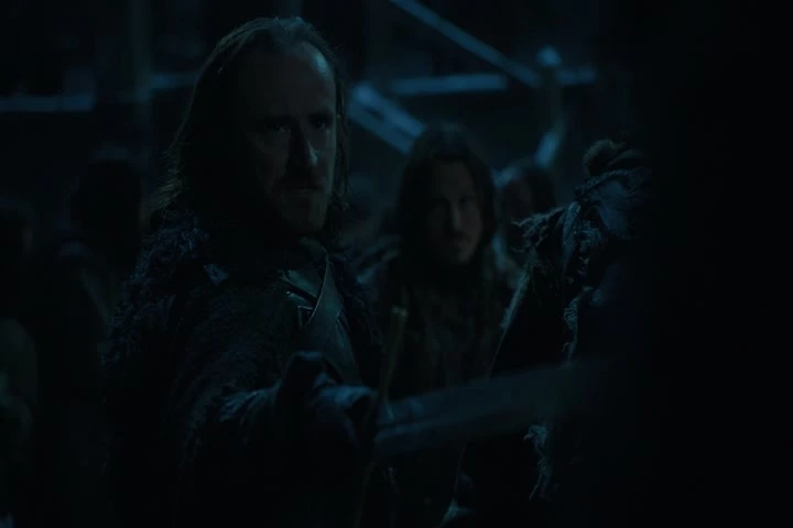 are the ones who shoved their knives
into their Lord Commander's heart.
