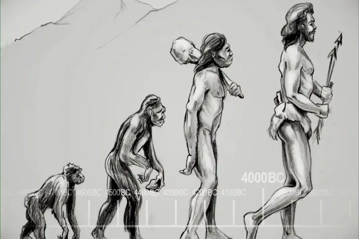 ♪ The autotrophs began to drool,
Neanderthals developed tools ♪
♪ The autotrophs began to drool,
Neanderthals developed tools ♪